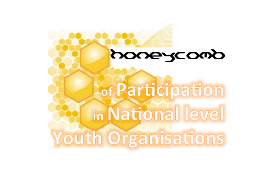 Honeycomb of Participation in National Level Youth Organizations