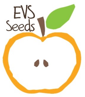 EVS Let`s spread together the seeds of volunteering!
